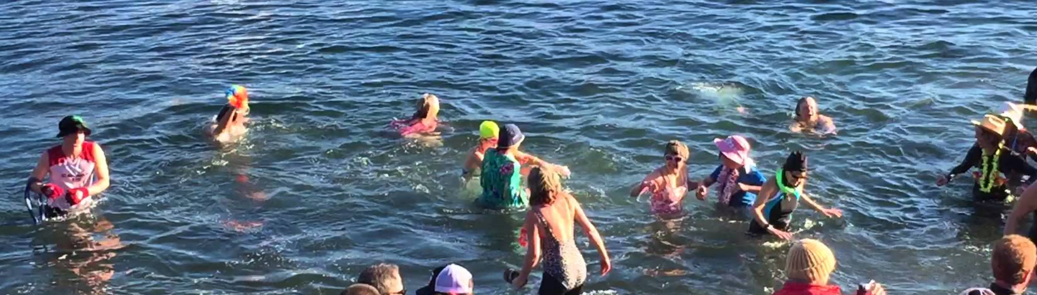 Polar Bear Swim is on!